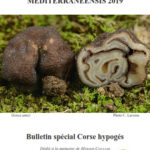 CEMM: Bollettino Speciale Corsica 2019 sugli ipogei